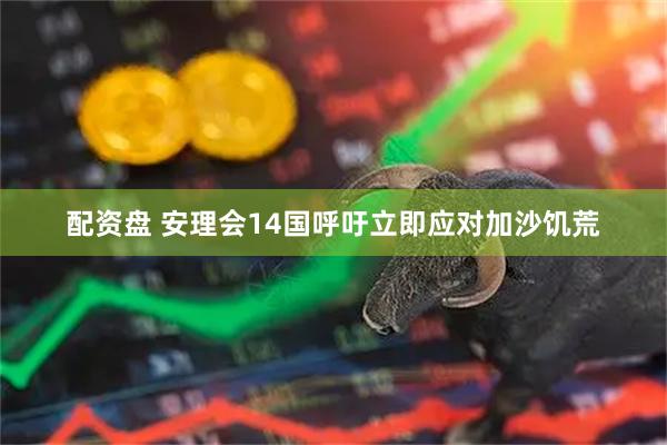 配资盘 安理会14国呼吁立即应对加沙饥荒